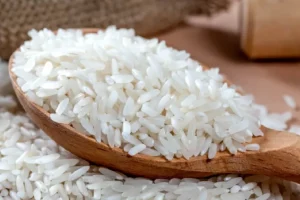berapa sendok nasi untuk diet